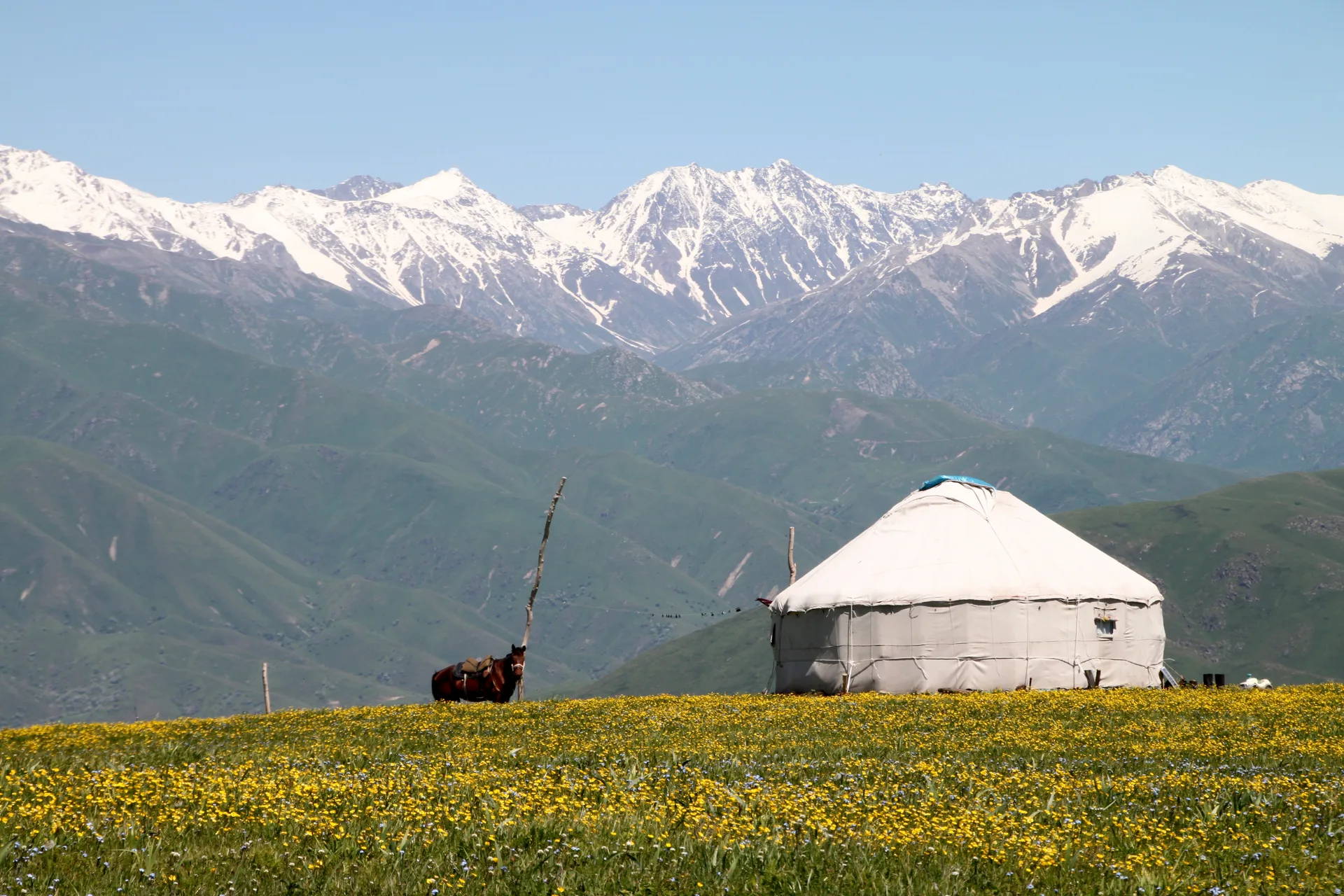 White felt yurt set in an open mountain meadow with rocky Tian Shan peaks rising behind it, Tekeli area, Almaty region.