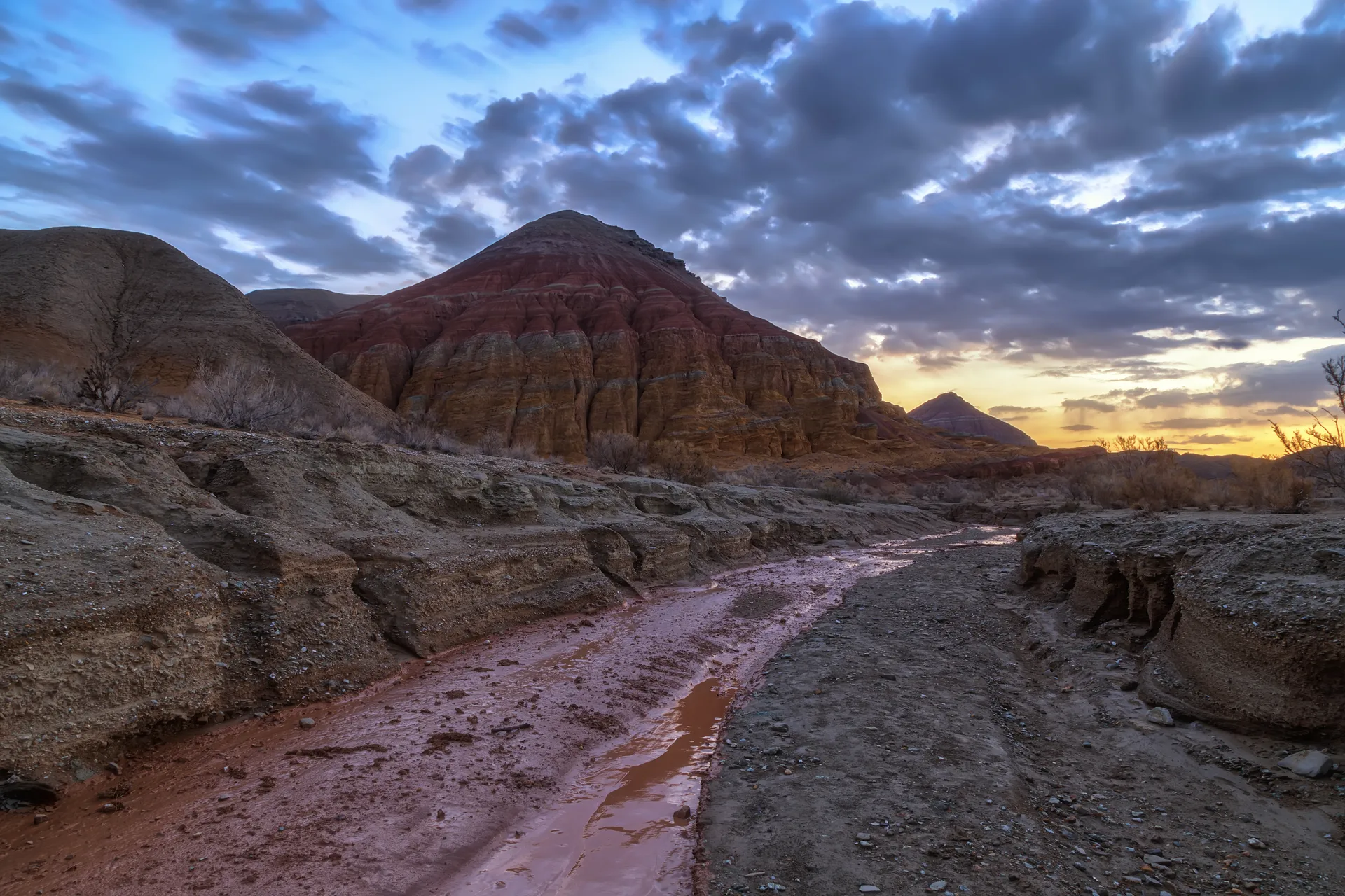Colorful chalk and clay layers of the Aktau White Mountains in Altyn-Emel National Park, showing red, white and yellow stratified bands with saxaul trees in the foreground.
