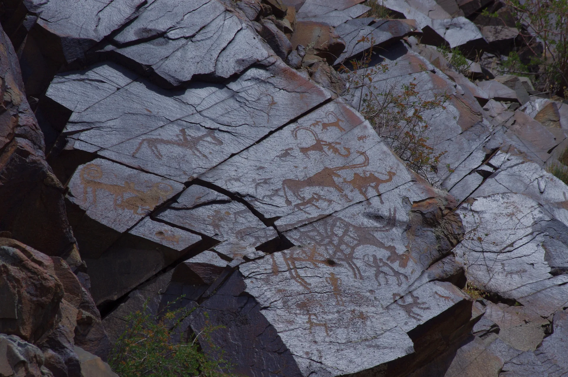 Late Bronze Age petroglyph panel showing horned ibex and human hunter figures pecked into dark rock at Tangaly Kazakhstan