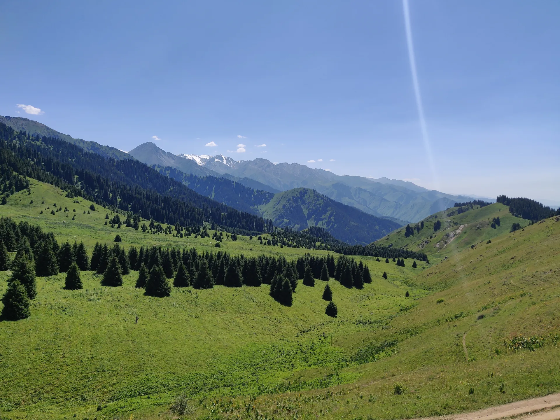 Green mountain slopes and spruce forests in the Medeu district south of Almaty on a summer afternoon.