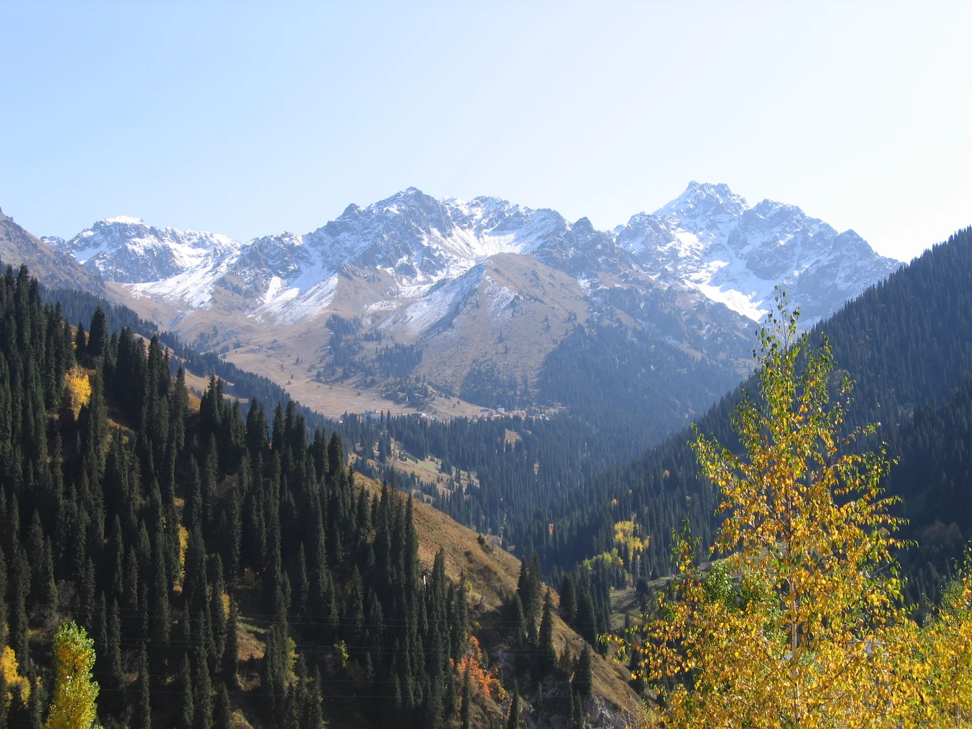 Medeu gorge in autumn, looking south toward snow-touched peaks through a narrow valley of conifer and birch.