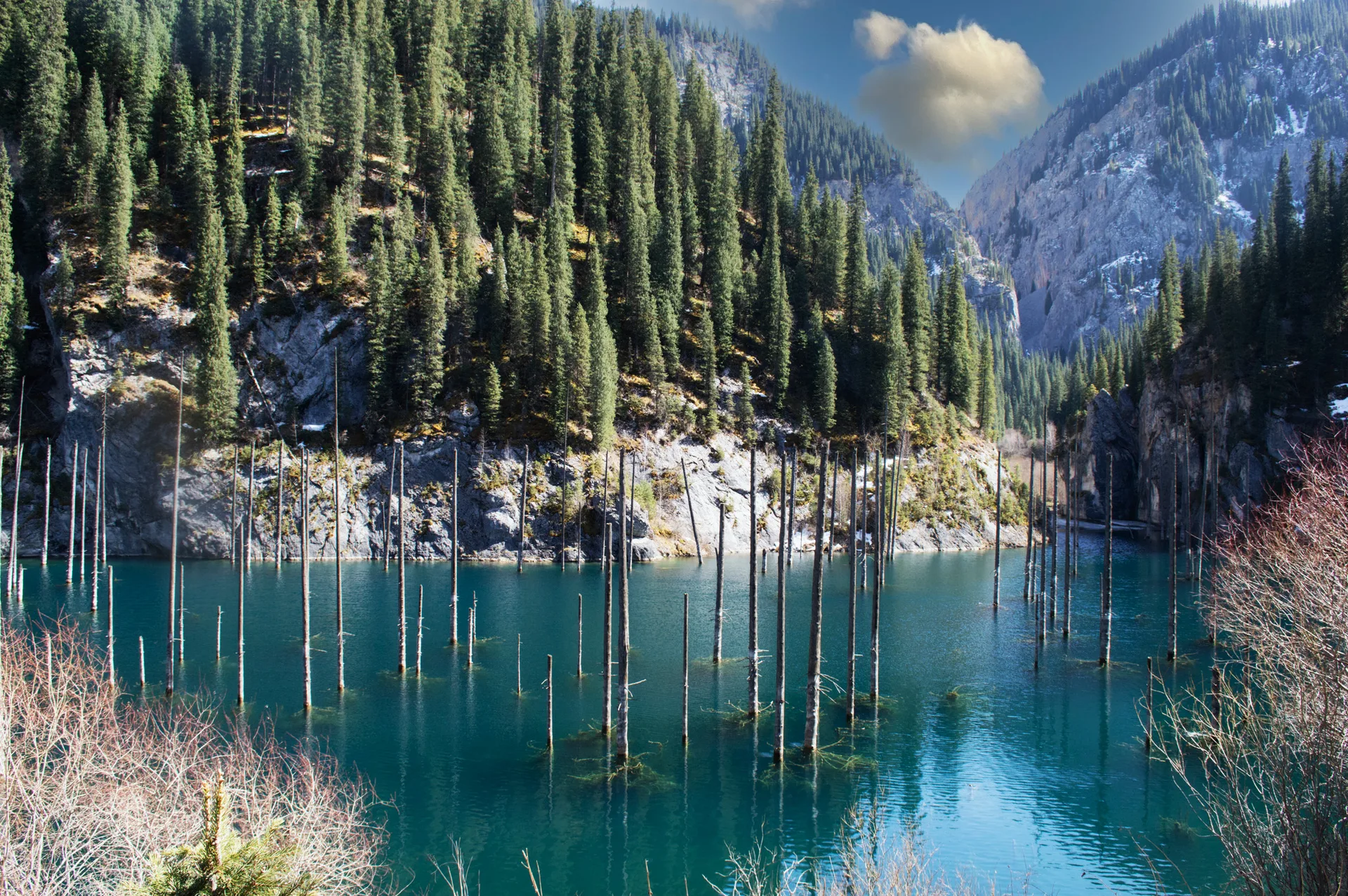 Pale spruce trunks rising from the turquoise surface of Kaindy Lake, surrounded by forested slopes of the Tien Shan.