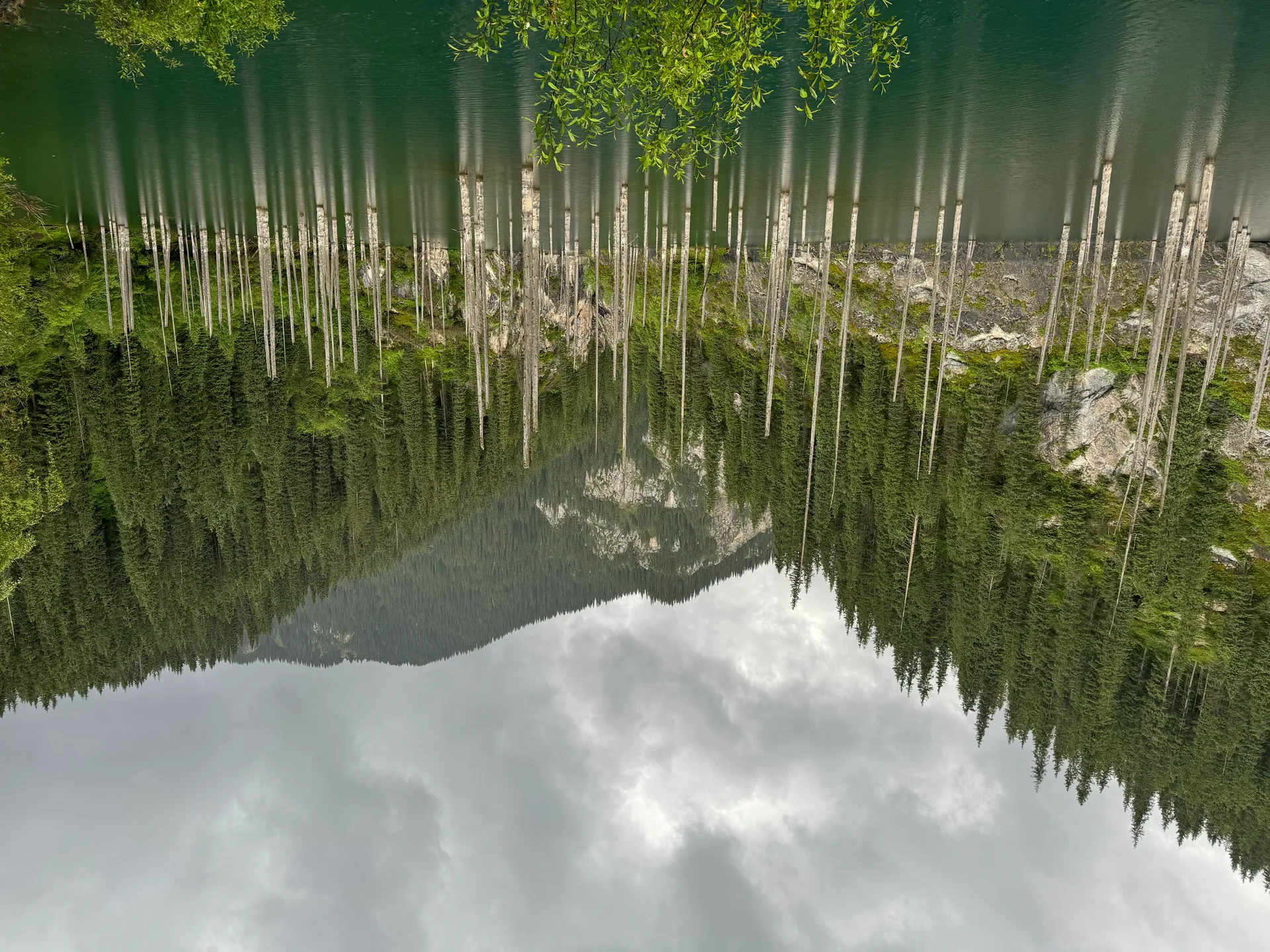 Kaindy Lake seen from near the parking area, its turquoise surface dotted with the bare trunks of submerged spruce trees under an overcast mountain sky.