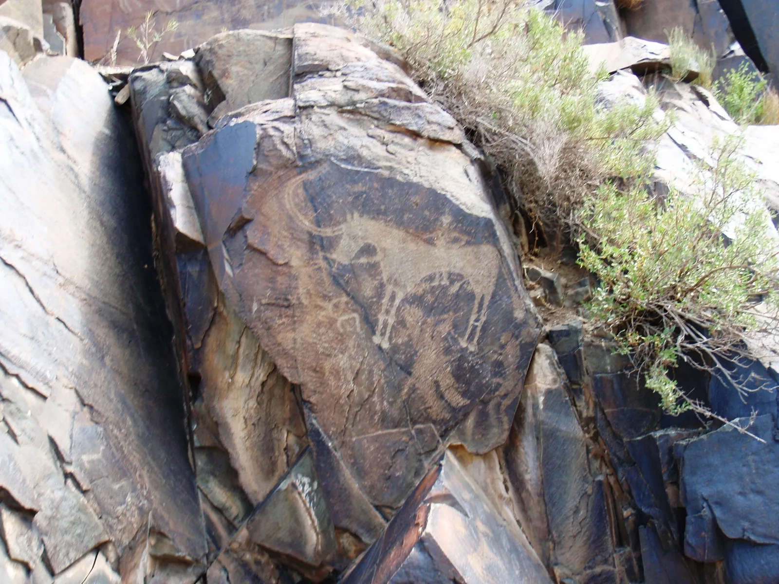 Bronze-Age petroglyph at Tamgaly, Kazakhstan, showing a pecked ibex figure on dark-patinated rock surface with other animal outlines nearby.