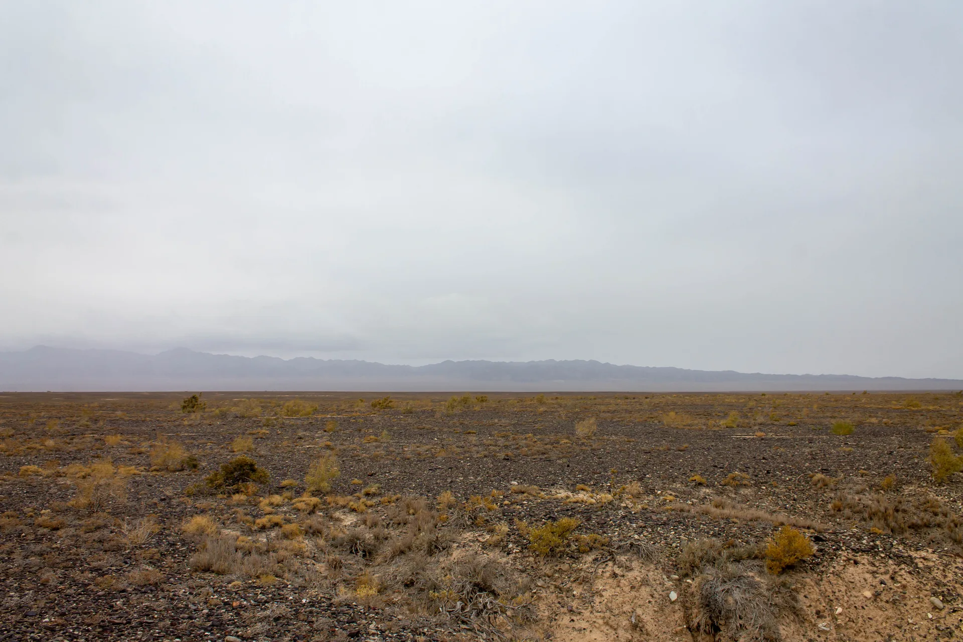 Open plateau steppe landscape in Charyn National Park area, showing the rolling terrain typical of the Kegen district on the return route north