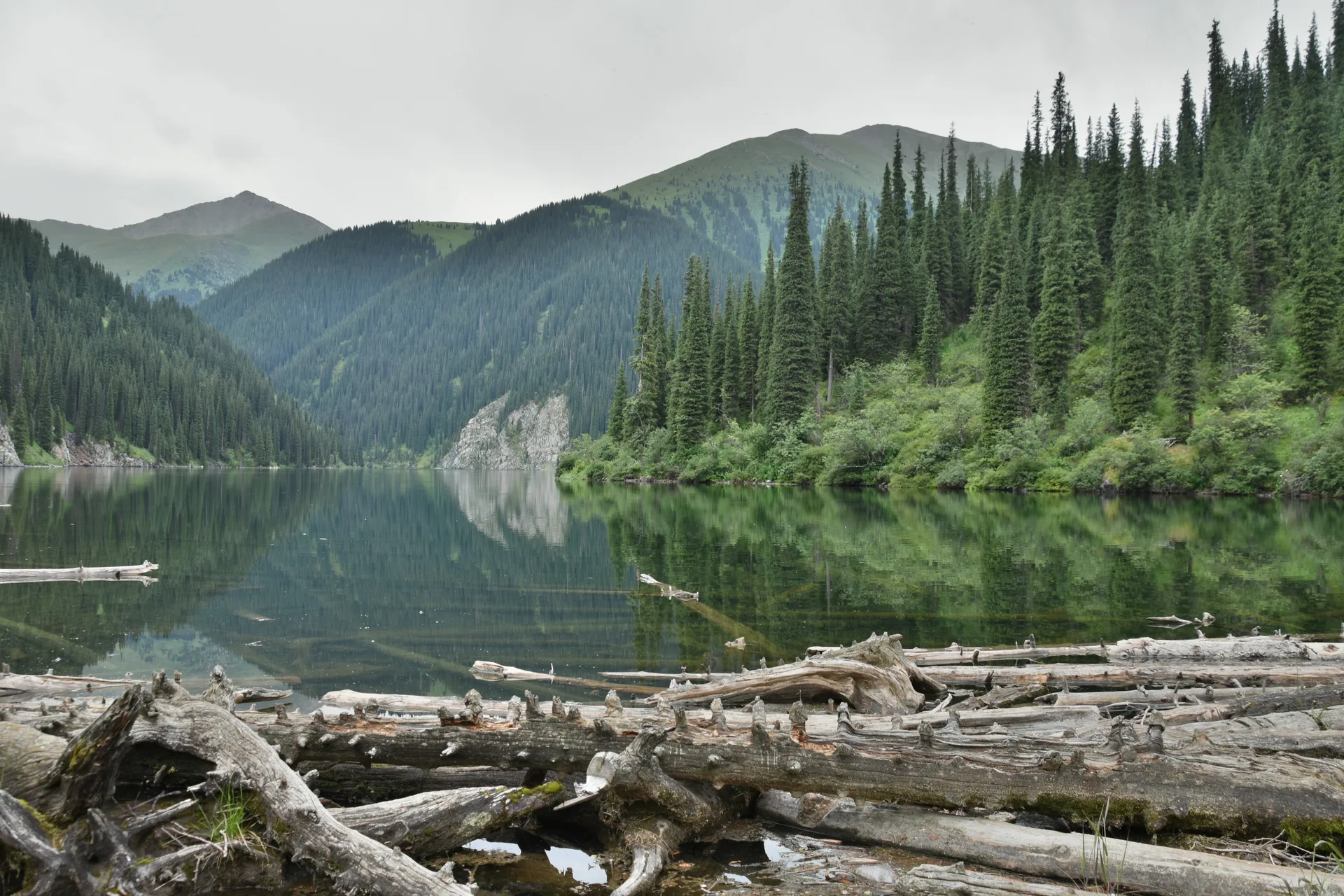 Middle Kolsai Lake reflecting spruce-covered slopes under a clear summer sky, viewed from the northern shore.