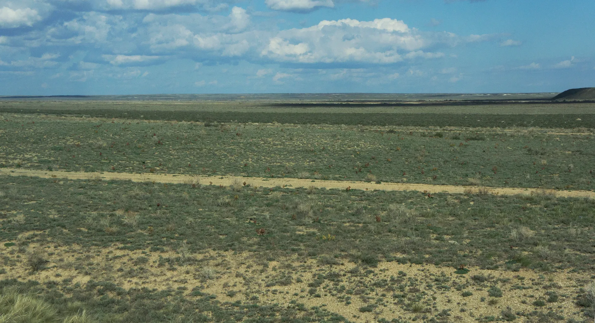 Open Kazakhstan steppe under wide sky, flat grassland stretching to a low horizon, sparse dry vegetation in foreground