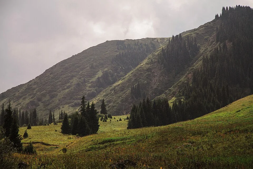 Rocky gorge and forest terrain on the walking route toward Kairak Waterfall.