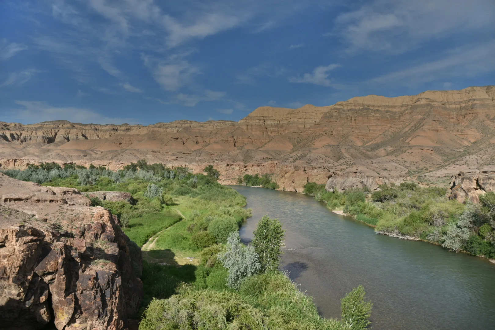 Charyn River flowing between pale banks and canyon vegetation under a blue sky.