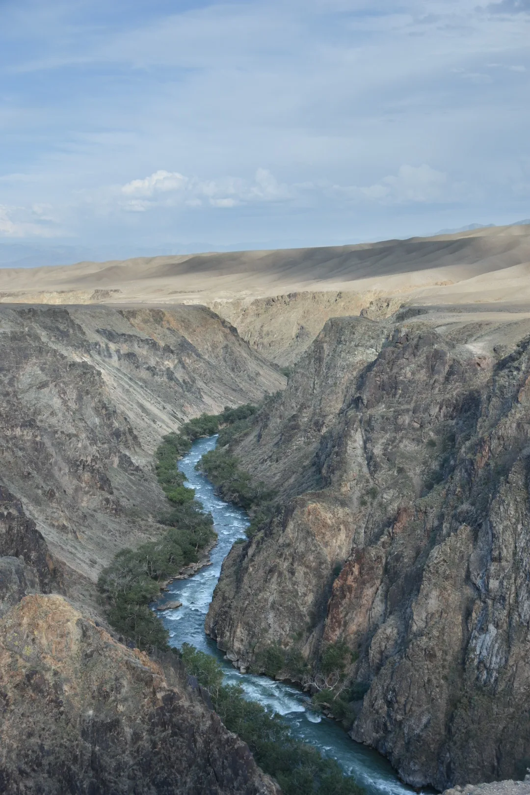 Charyn River curving below steep canyon slopes with green riparian trees.