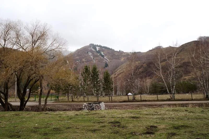 Kaskelen Gorge hillside with dry grass, shrubs, and a narrow valley floor.