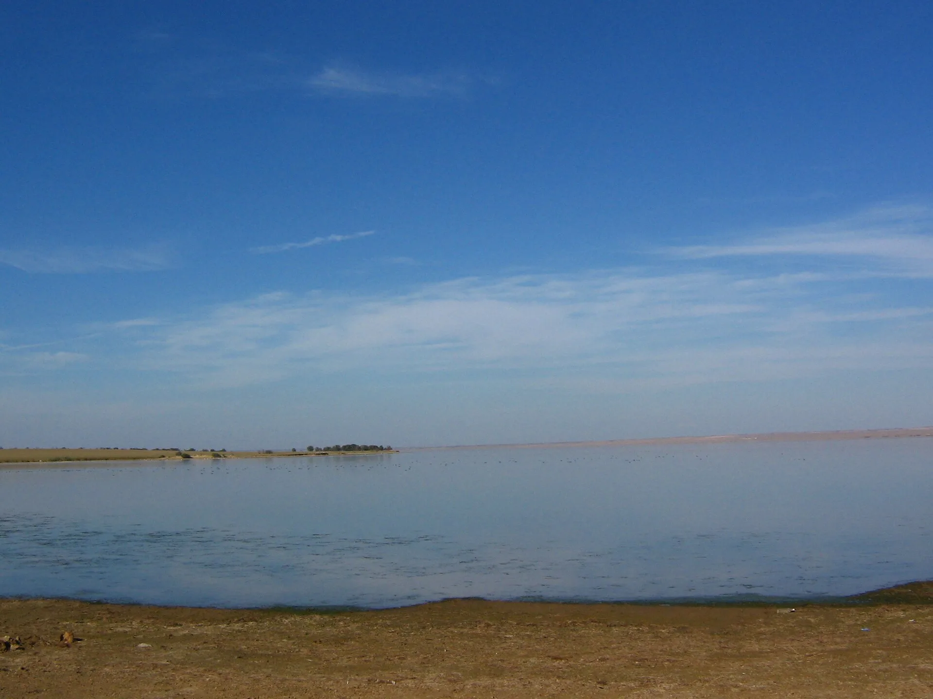 Open water and low shoreline at Sorbulak beneath a clear sky.