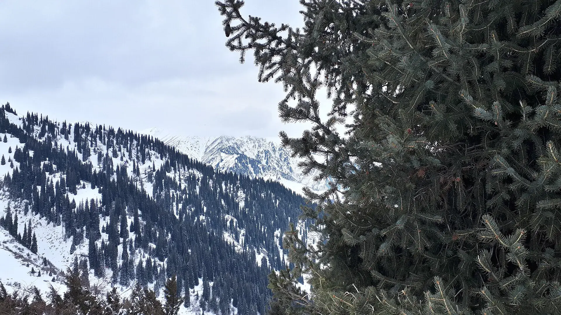 Grassy ridge trail on the approach to Furmanov Peak above Almaty.