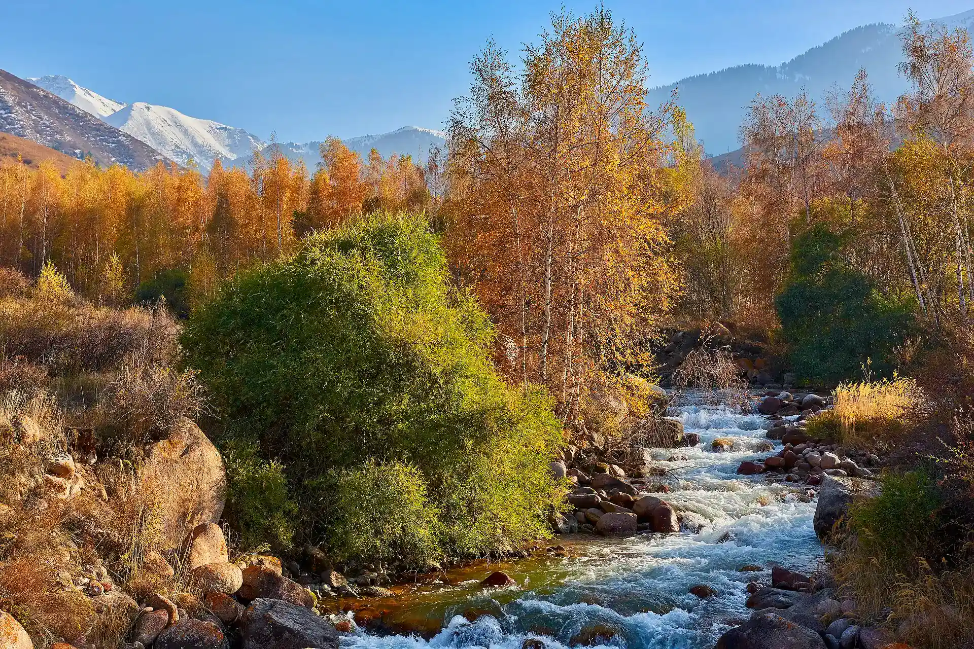 Steep green slopes and rocky walls inside Kaskelen Gorge in Ile-Alatau National Park.
