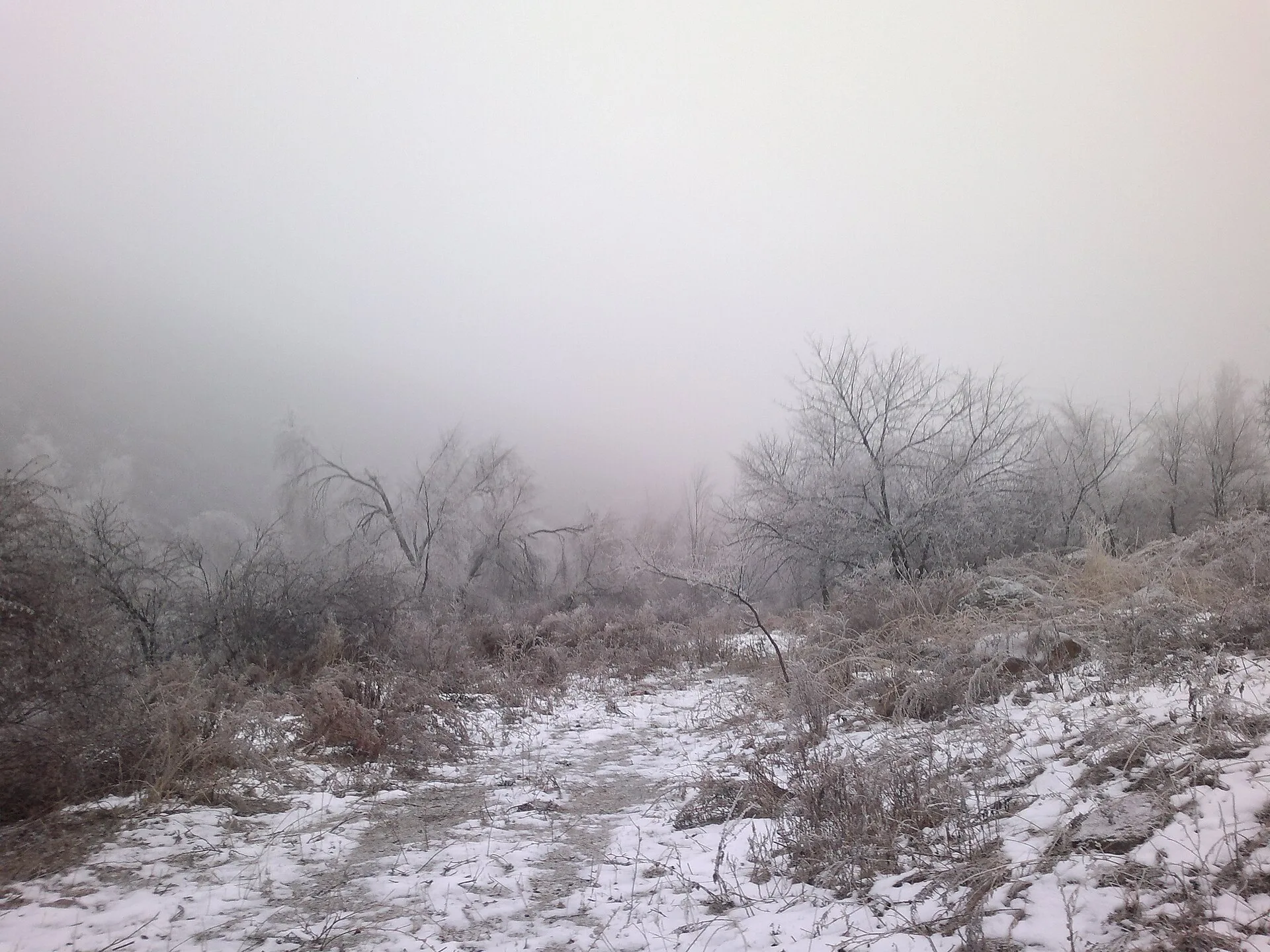 Rocky valley walls and sparse shrubs along the Kaskelen Gorge approach road.