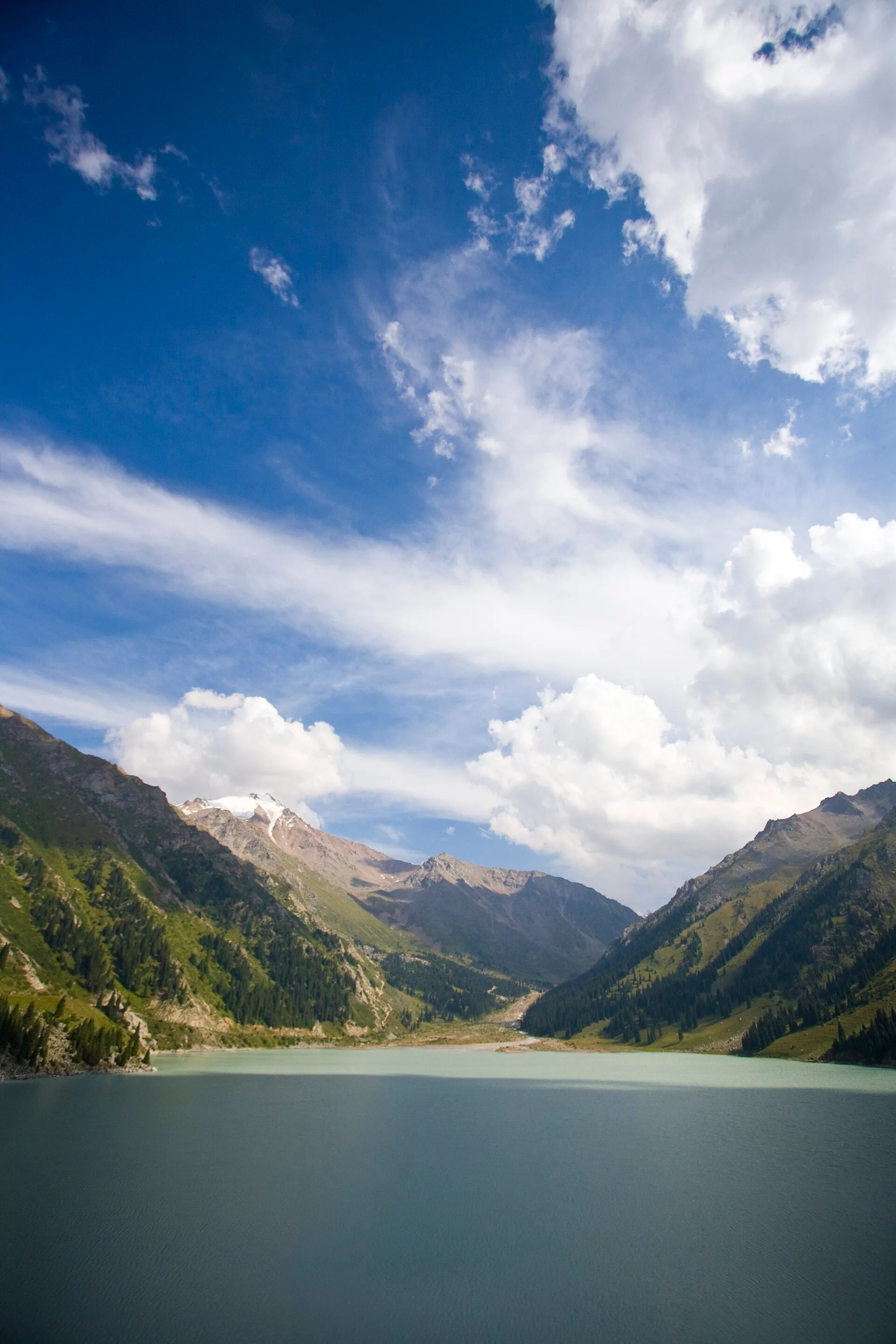 Tall conifers and steep terrain in an Ile-Alatau National Park gorge.