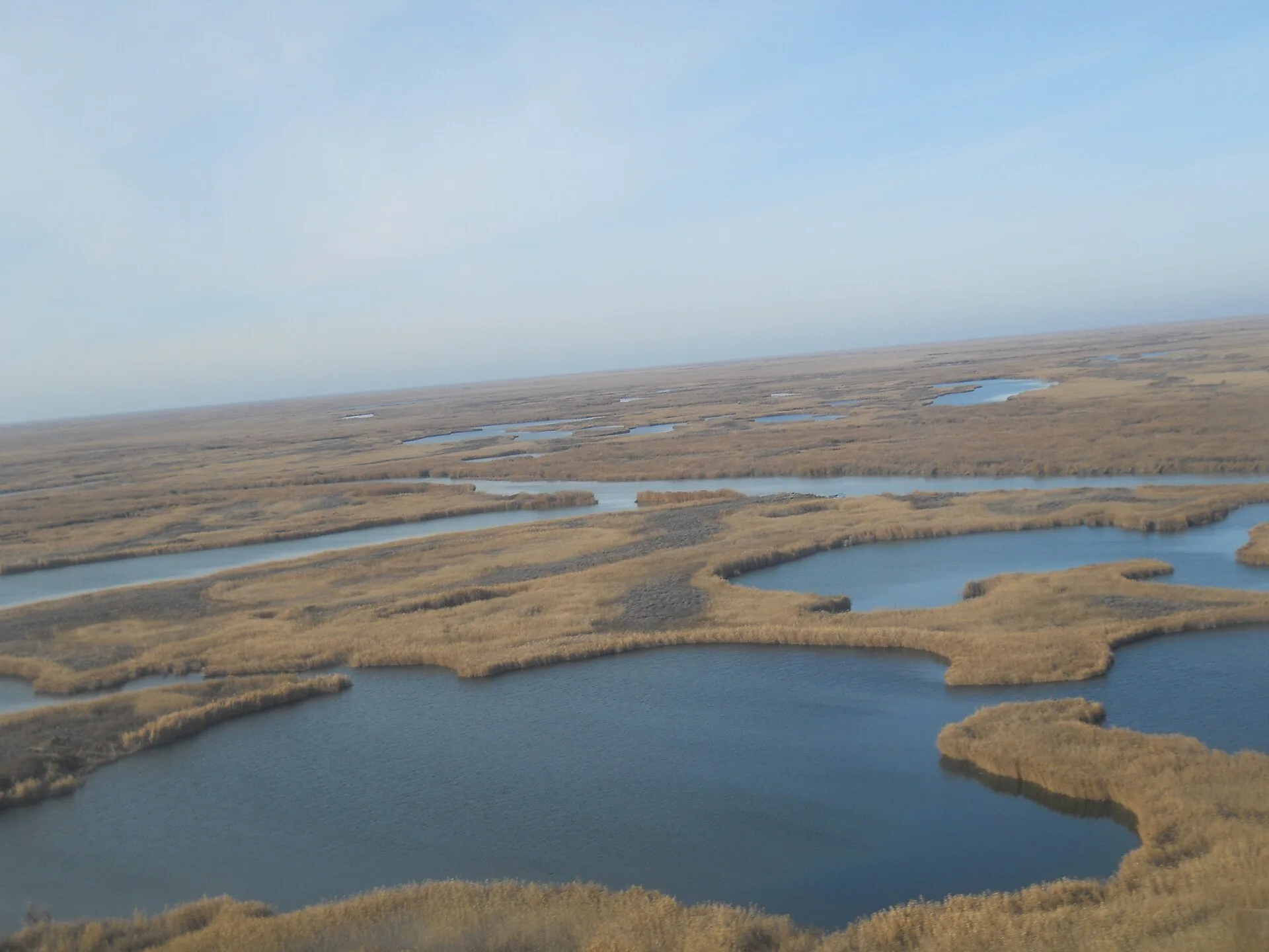 Low islands and water channels in the Ili delta wetland complex.