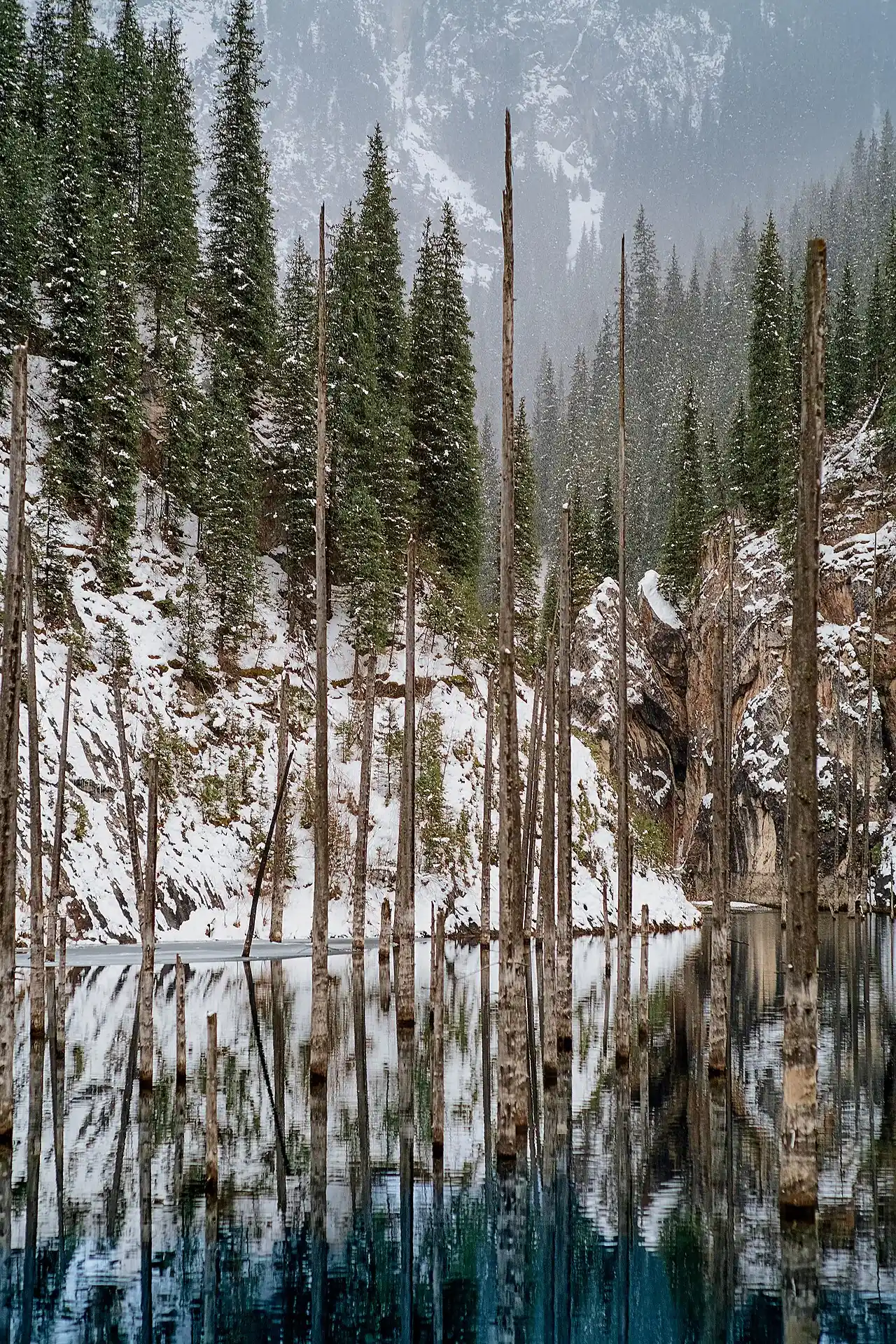 Still Kaindy Lake surface reflecting spruce forest, with pale tree trunks emerging from the water.