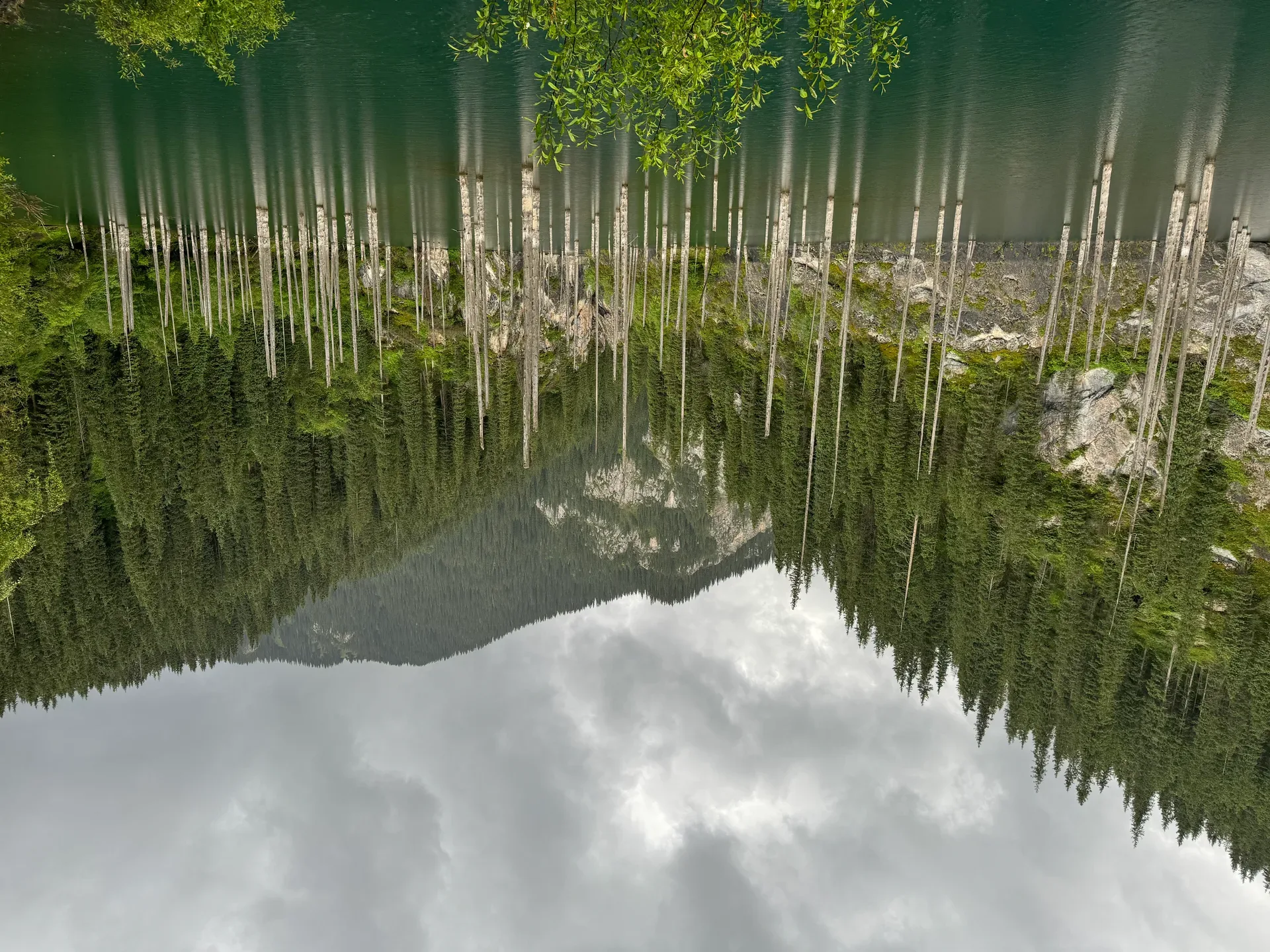 Kaindy Lake seen from near the parking area, its turquoise surface dotted with the bare trunks of submerged spruce trees under an overcast mountain sky.