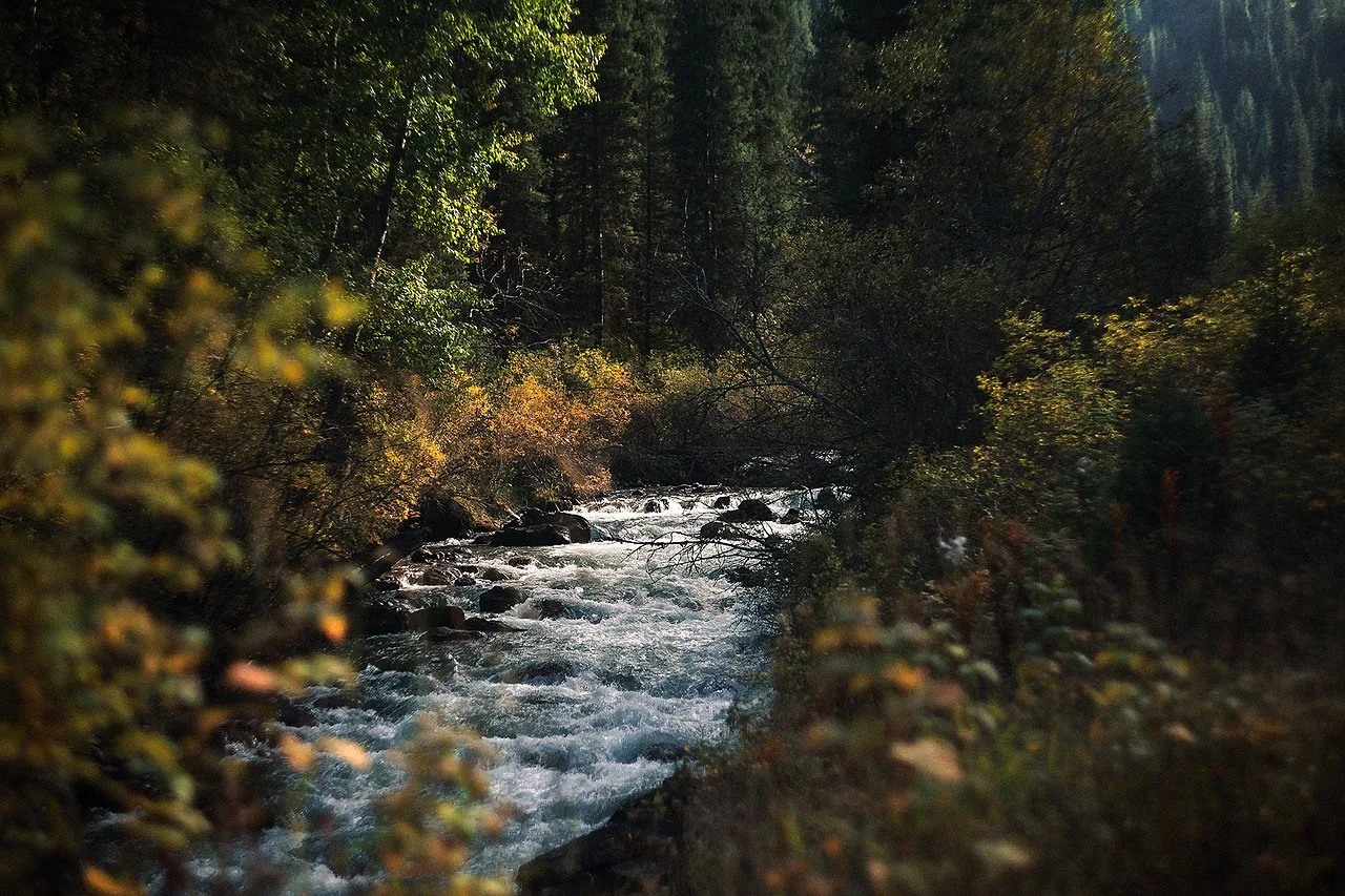 Forest road and streamside approach on the way to Kairak Waterfall in the Turgen gorge.