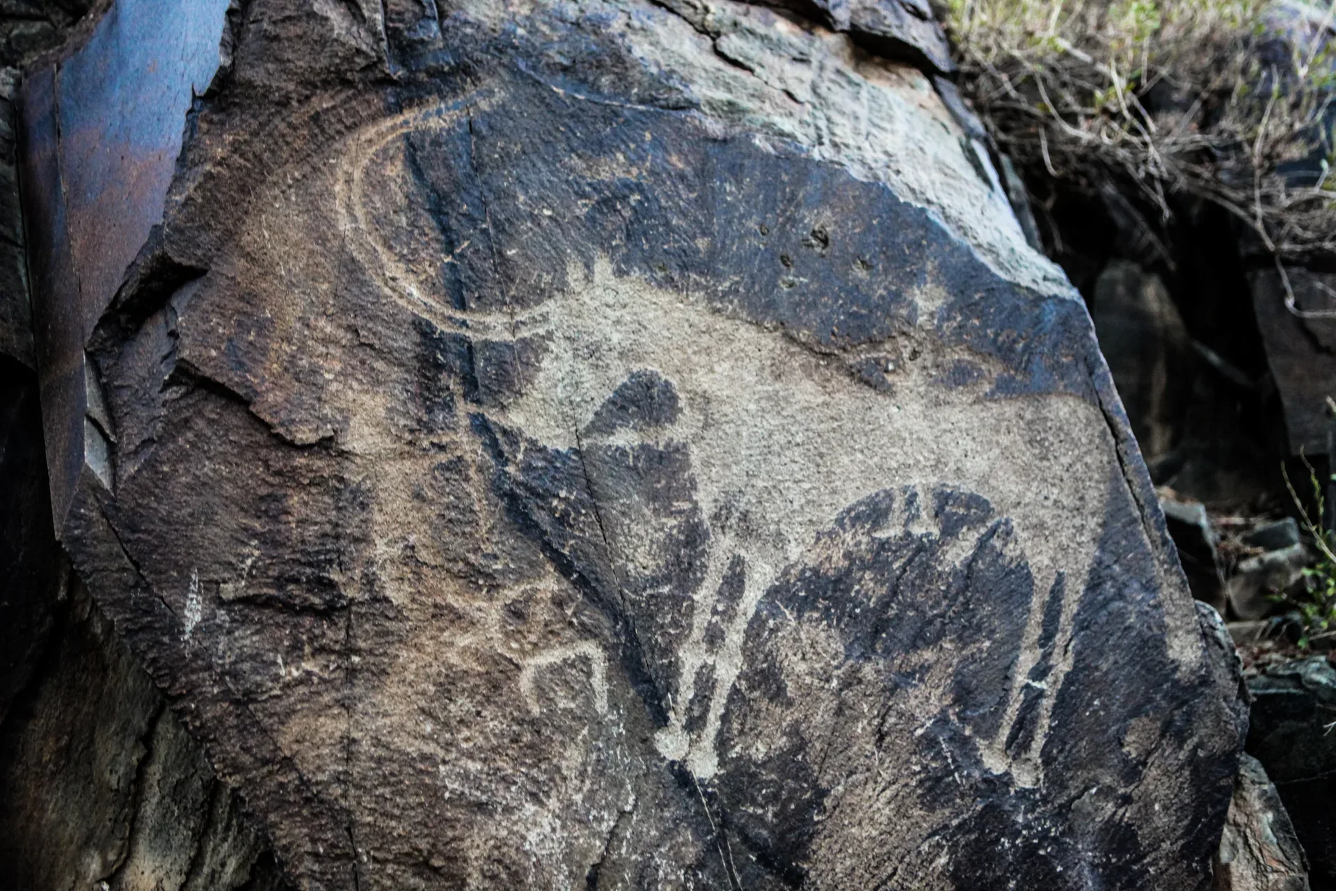 Bronze Age petroglyphs carved into dark rock at Tamgaly, showing animals and human figures etched into the stone surface.