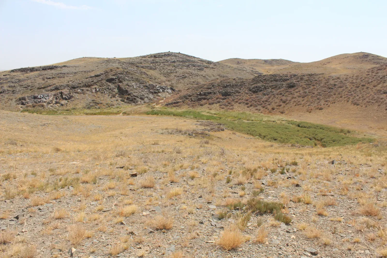 Context near Karabastau Village Turn Off: Open ravine at Tamgaly with rocky outcrops holding petroglyph panels along the canyon walls.