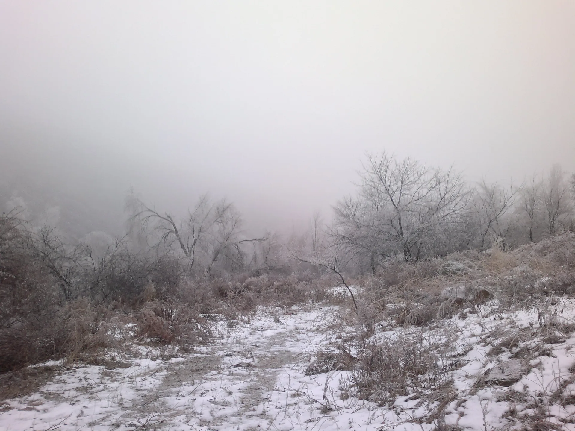 Open slopes and scrub vegetation in Kaskelen gorge, the mountain route reached from Kaskelen town.