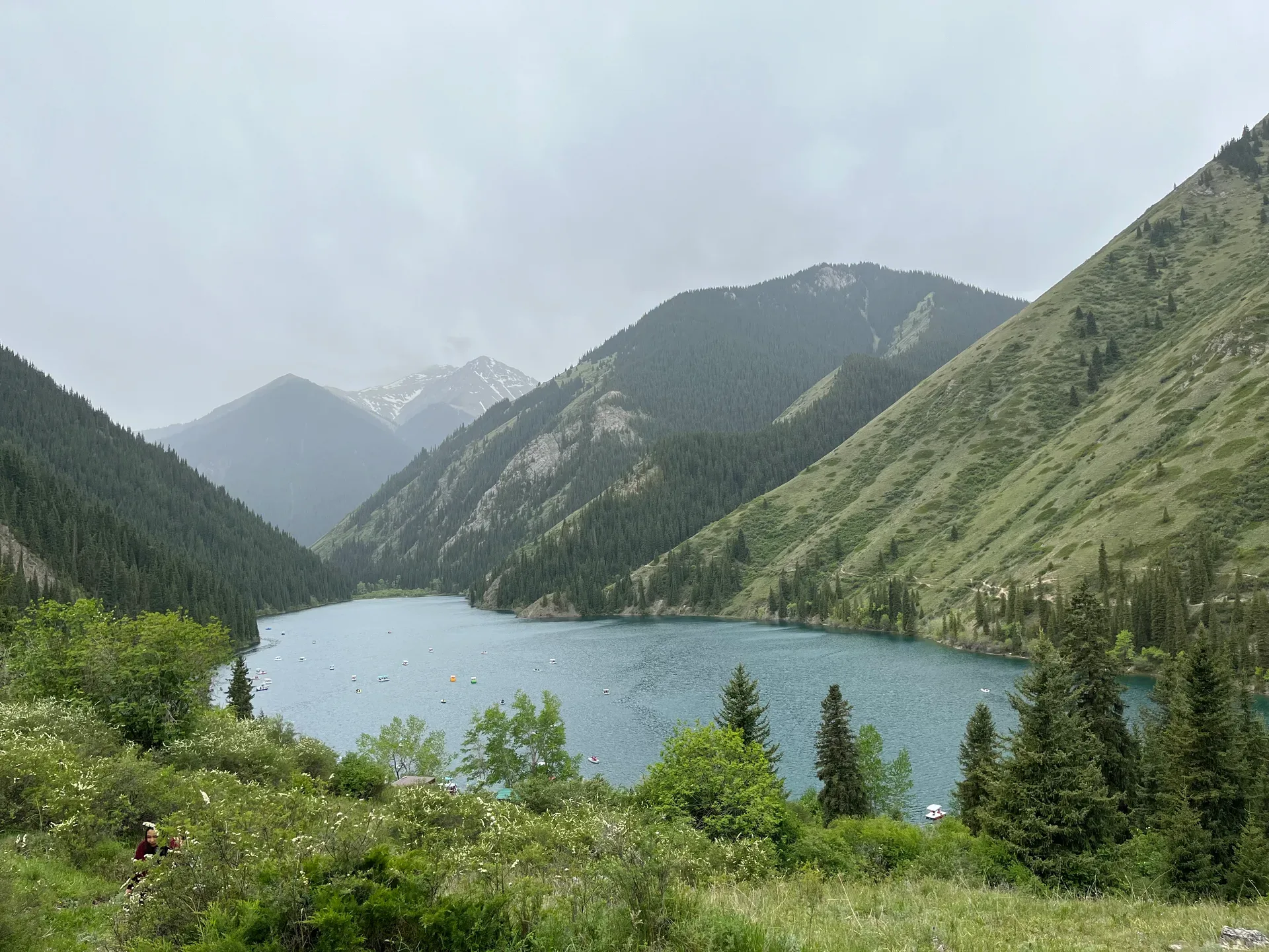 Lower Kolsai Lake viewed from the hillside above, its blue-green water cradled in a steep gorge lined with living Tien Shan spruce forest and open mountain meadows beyond.