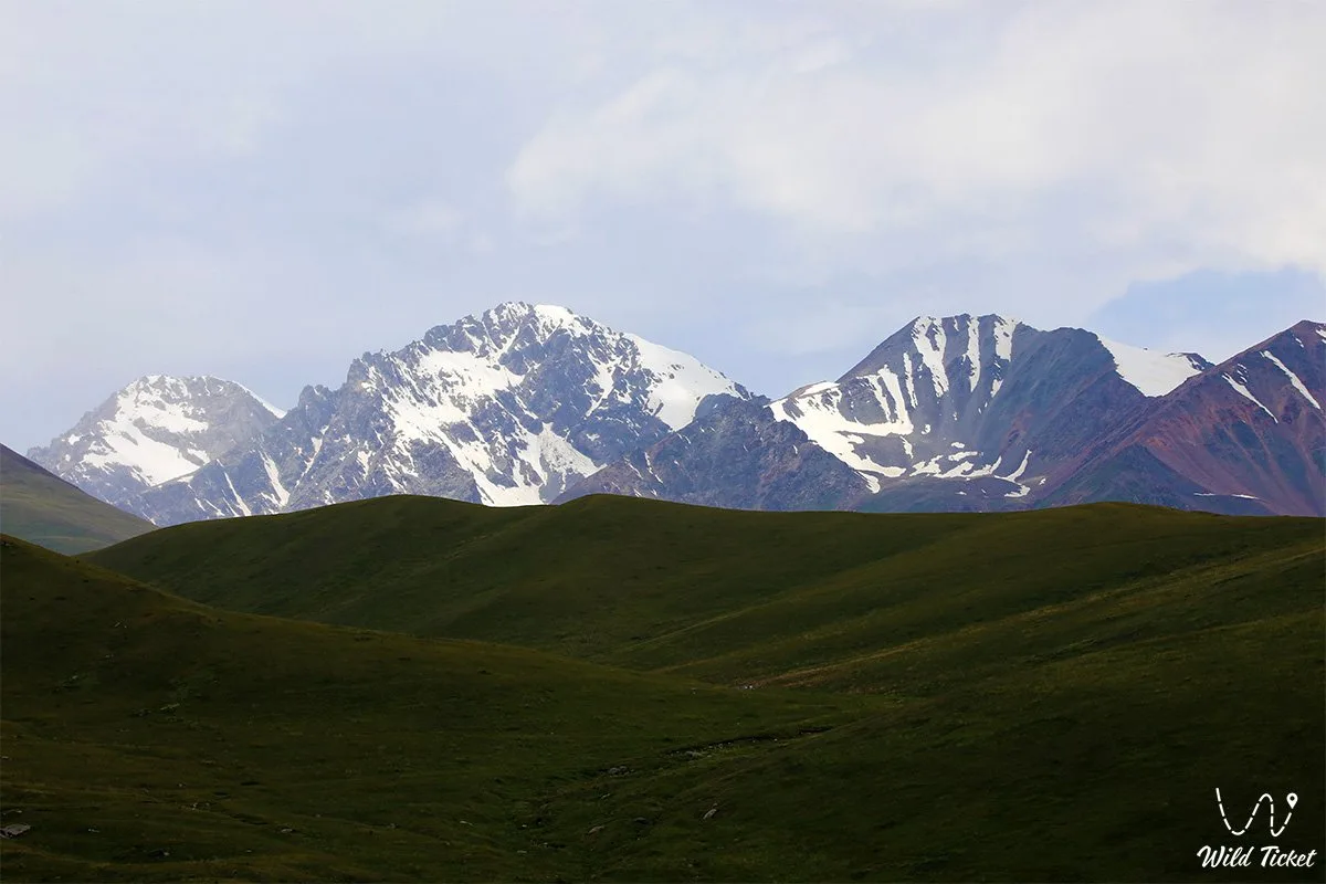 Spruce-covered slope in Kurmenty gorge, showing the forested mountain terrain above the access track.