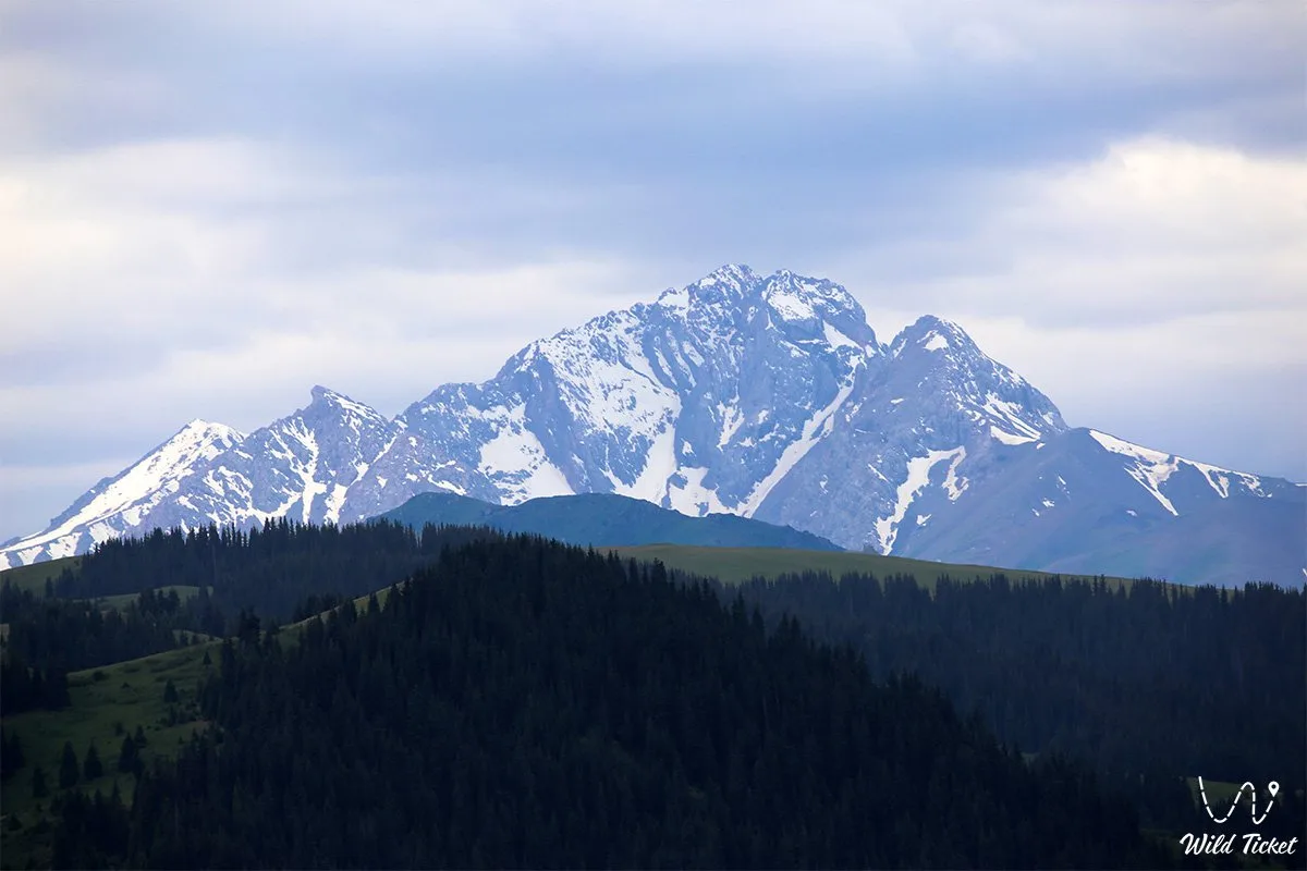 Kurmenty gorge valley floor in Kolsay Lakes National Park, with open grassland between mountain slopes.