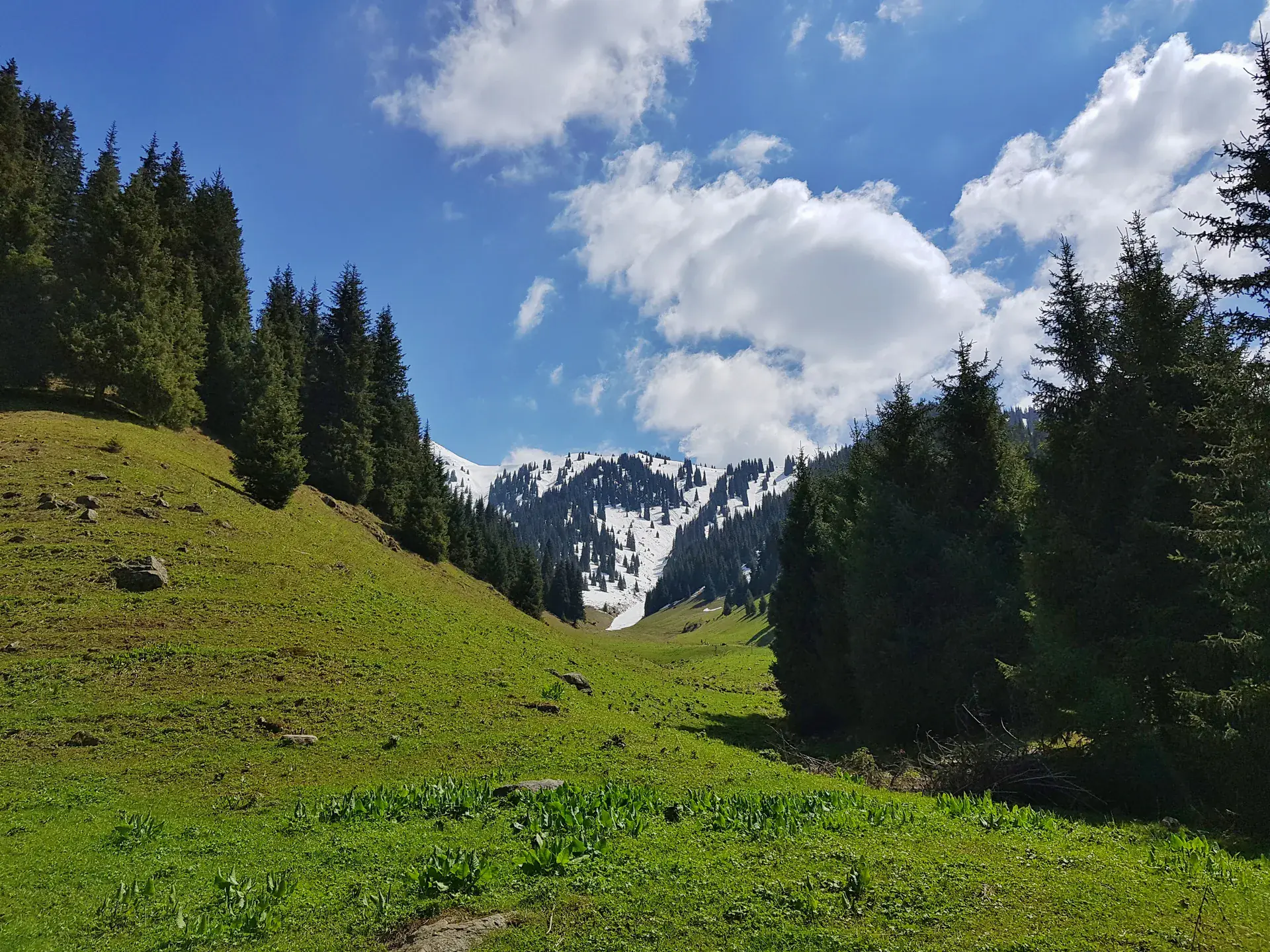 Spring greenery and rocky path in Butakovka Gorge below the lower waterfall trail.