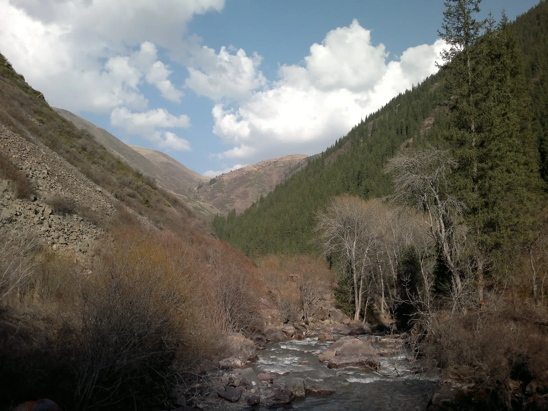 Forested Turgen Gorge road below snow-dusted mountains on the approach to Bear Waterfall.