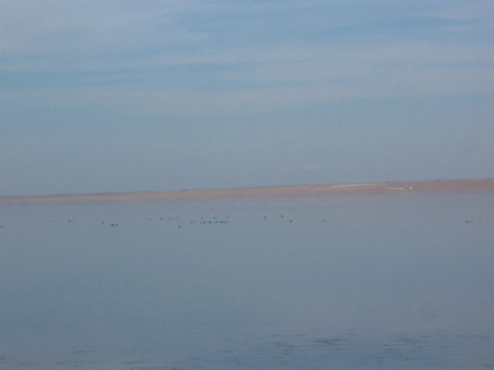 Reed-edged Sorbulak water marking the transition from shore habitat to pelican viewing zone.