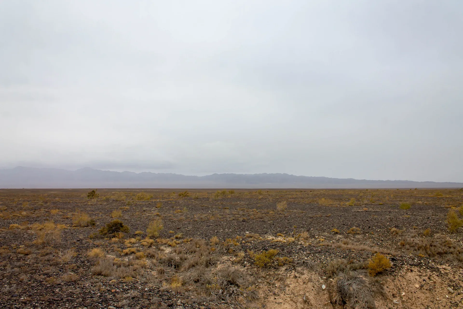 Rolling steppe plateau in Charyn National Park area, with sparse dry grassland and distant ridgelines under an overcast sky