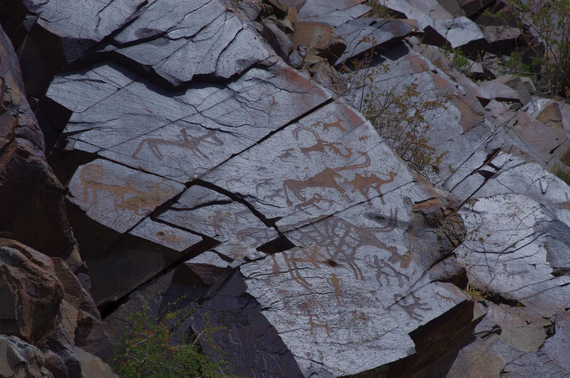 Late Bronze Age petroglyph panel showing horned ibex and human hunter figures pecked into dark rock at Tangaly Kazakhstan