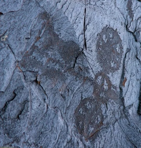Eshkiolmes petroglyph panel with a wheeled figure and surrounding animal forms.