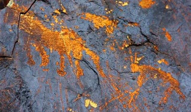 Animal-style petroglyph figures pecked into a dark Eshkiolmes rock panel.