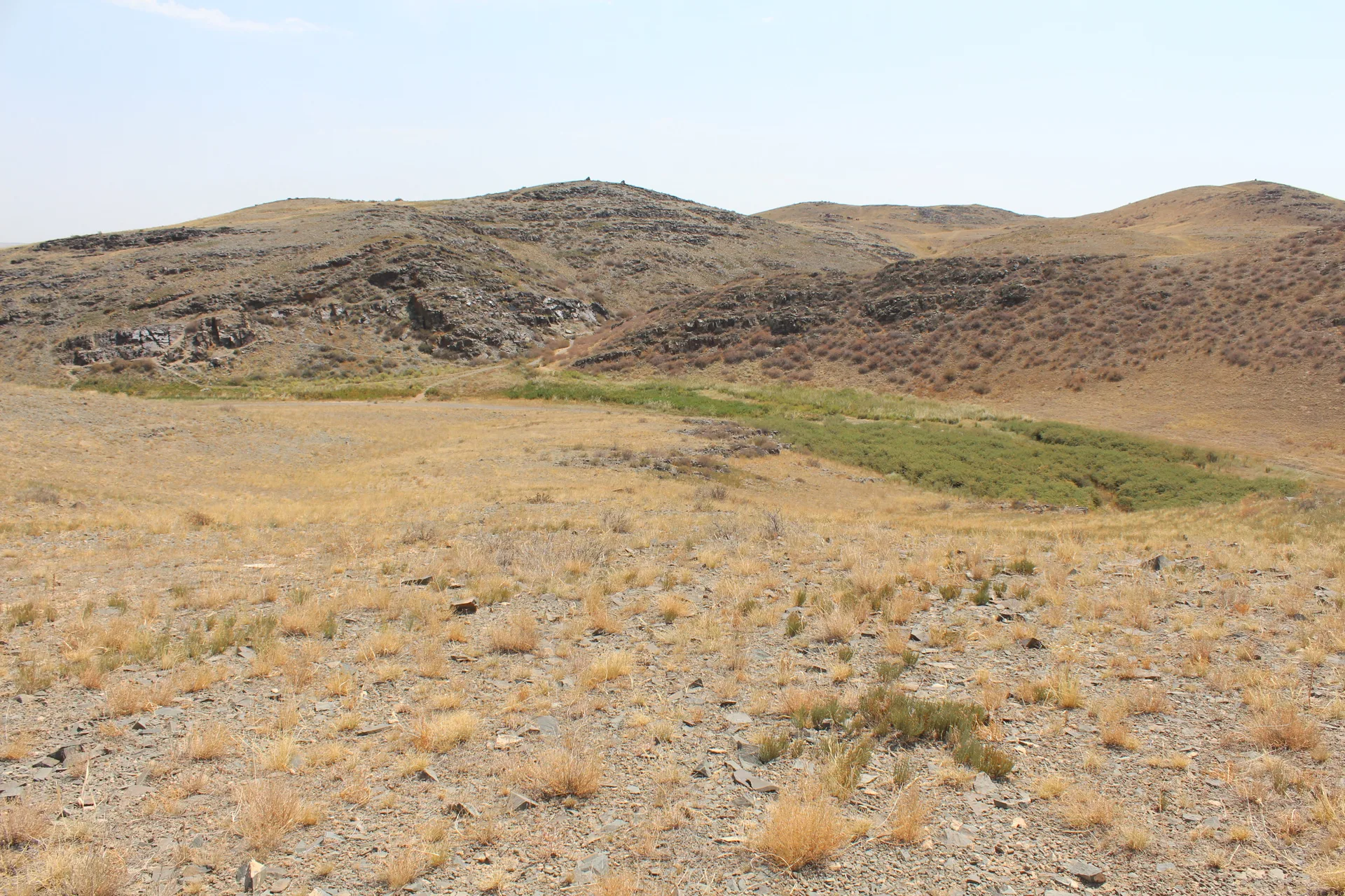 Wide view across the small arid ravine at Tamgaly UNESCO World Heritage Site, with rocky outcrops containing ancient petroglyphs visible on the canyon walls.