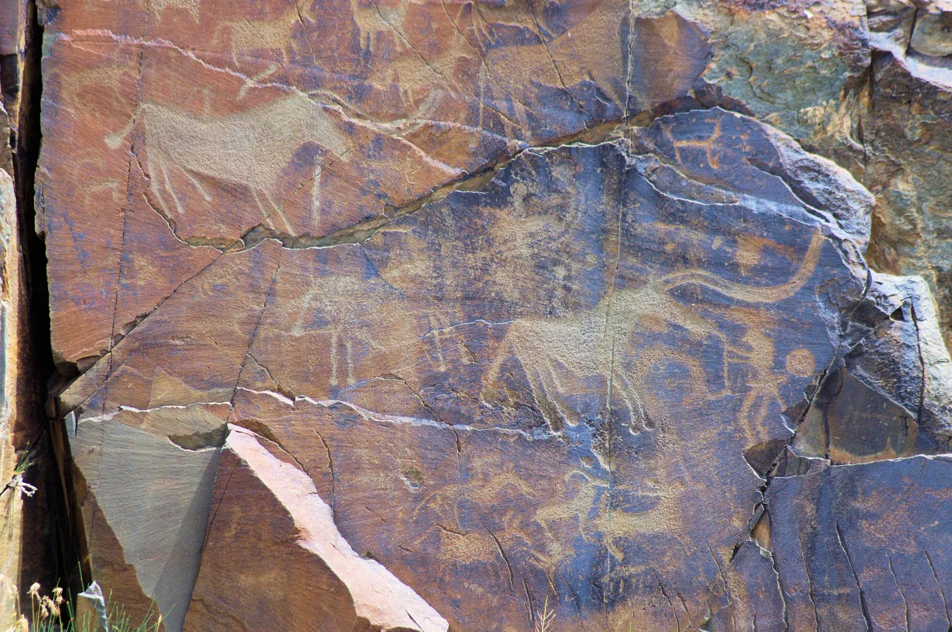 Bronze Age petroglyph panel at Tamgaly, Kazakhstan, showing a complex hunting scene with multiple clearly carved horses, bulls, human hunters, and ritual figures on dark reddish rock.